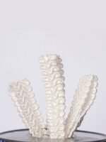 Koç Boynuzu - Görsel 5