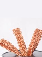 Koç Boynuzu - Görsel 4