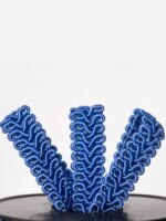 Koç Boynuzu - Görsel 8